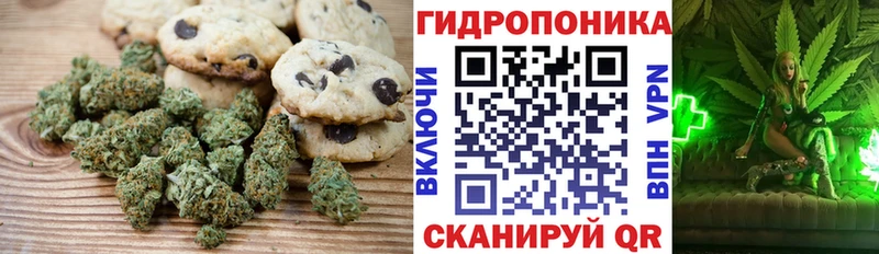 где продают наркотики  МЕГА ССЫЛКА  Cannafood конопля  Цивильск 