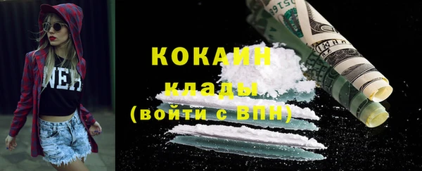 стафф Арсеньев