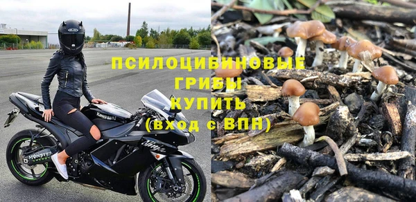 стафф Арсеньев