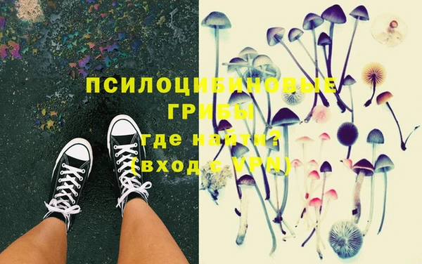 стафф Арсеньев